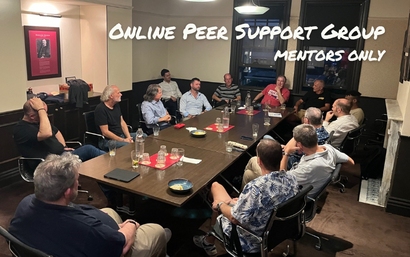 Mentors Only: Online Peer Support Group